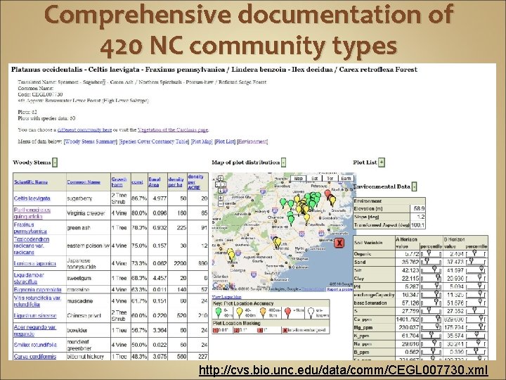 Comprehensive documentation of 420 NC community types http: //cvs. bio. unc. edu/data/comm/CEGL 007730. xml