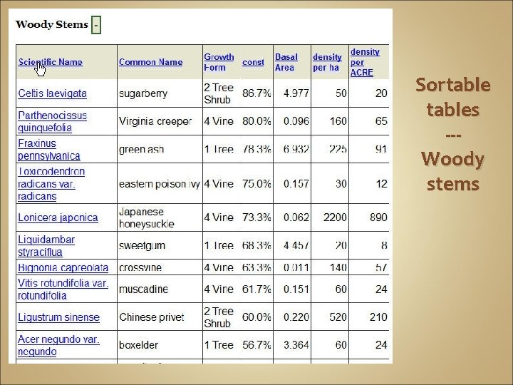 Sortables --Woody stems 