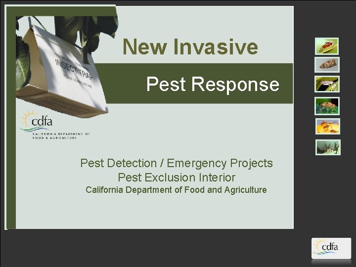 New Invasive Pest Response Pest Detection / Emergency Projects Pest Exclusion Interior California Department