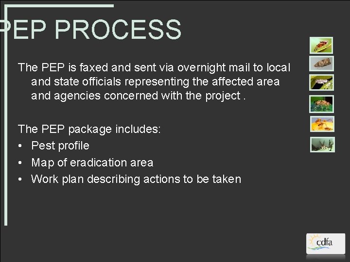 PEP PROCESS The PEP is faxed and sent via overnight mail to local and