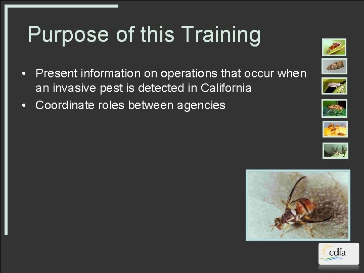 Purpose of this Training • Present information on operations that occur when an invasive