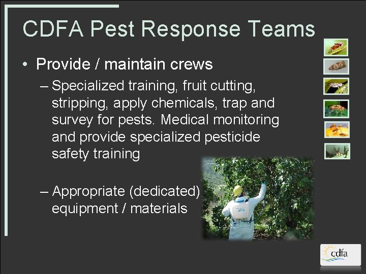 CDFA Pest Response Teams • Provide / maintain crews – Specialized training, fruit cutting,