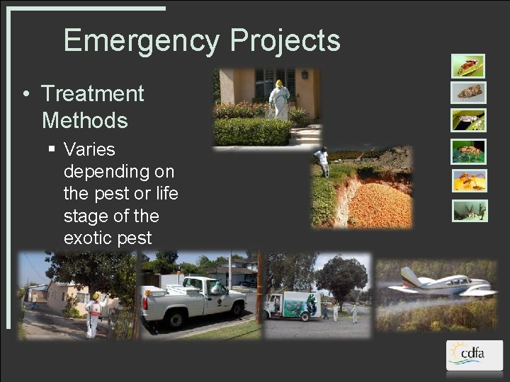 Emergency Projects • Treatment Methods § Varies depending on the pest or life stage