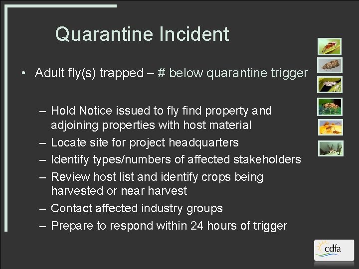 Quarantine Incident • Adult fly(s) trapped – # below quarantine trigger – Hold Notice