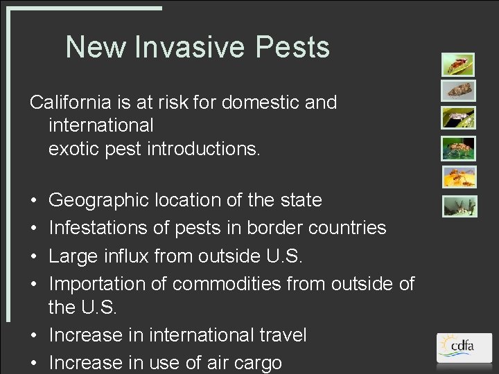 New Invasive Pests California is at risk for domestic and international exotic pest introductions.