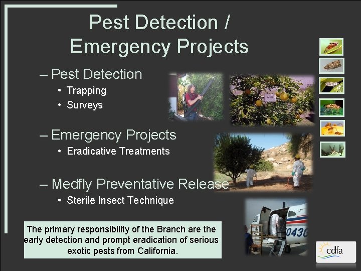 Pest Detection / Emergency Projects – Pest Detection • Trapping • Surveys – Emergency