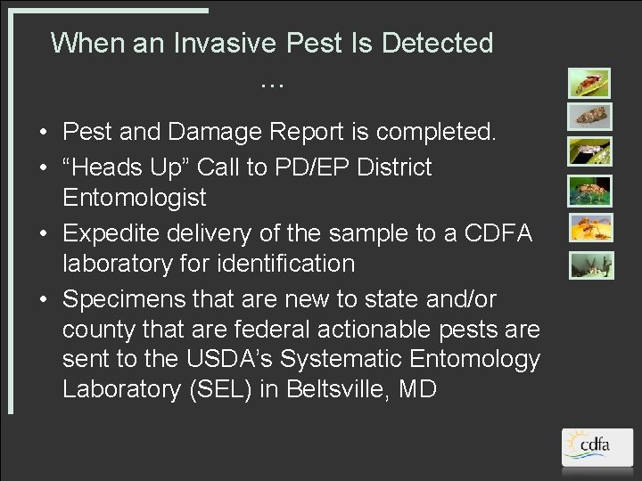 When an Invasive Pest Is Detected … • Pest and Damage Report is completed.