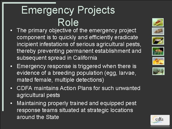 Emergency Projects Role • The primary objective of the emergency project component is to