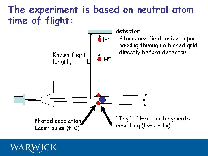 The experiment is based on neutral atom time of flight: Known flight length, L