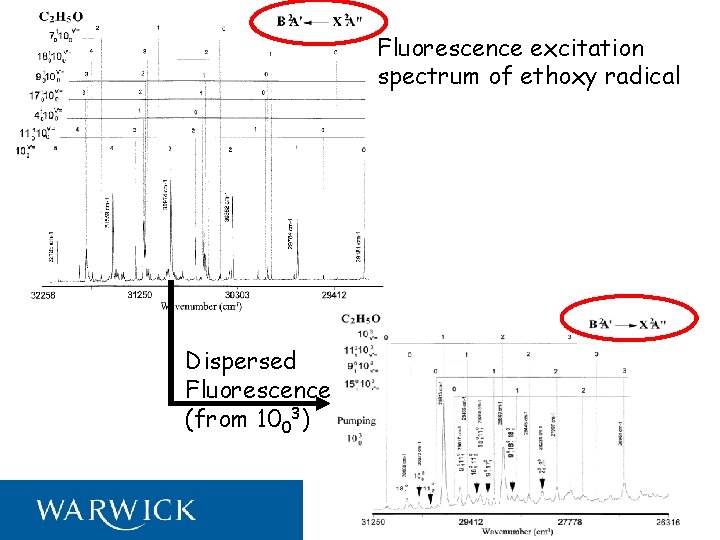 Fluorescence excitation spectrum of ethoxy radical Dispersed Fluorescence (from 1003) 