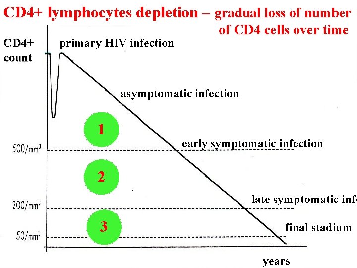CD 4+ lymphocytes depletion – gradual loss of number CD 4+ count primary HIV