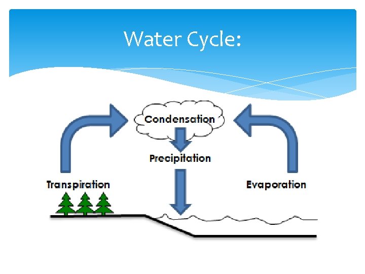Water Cycle: 