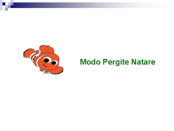 Modo Pergite Natare 