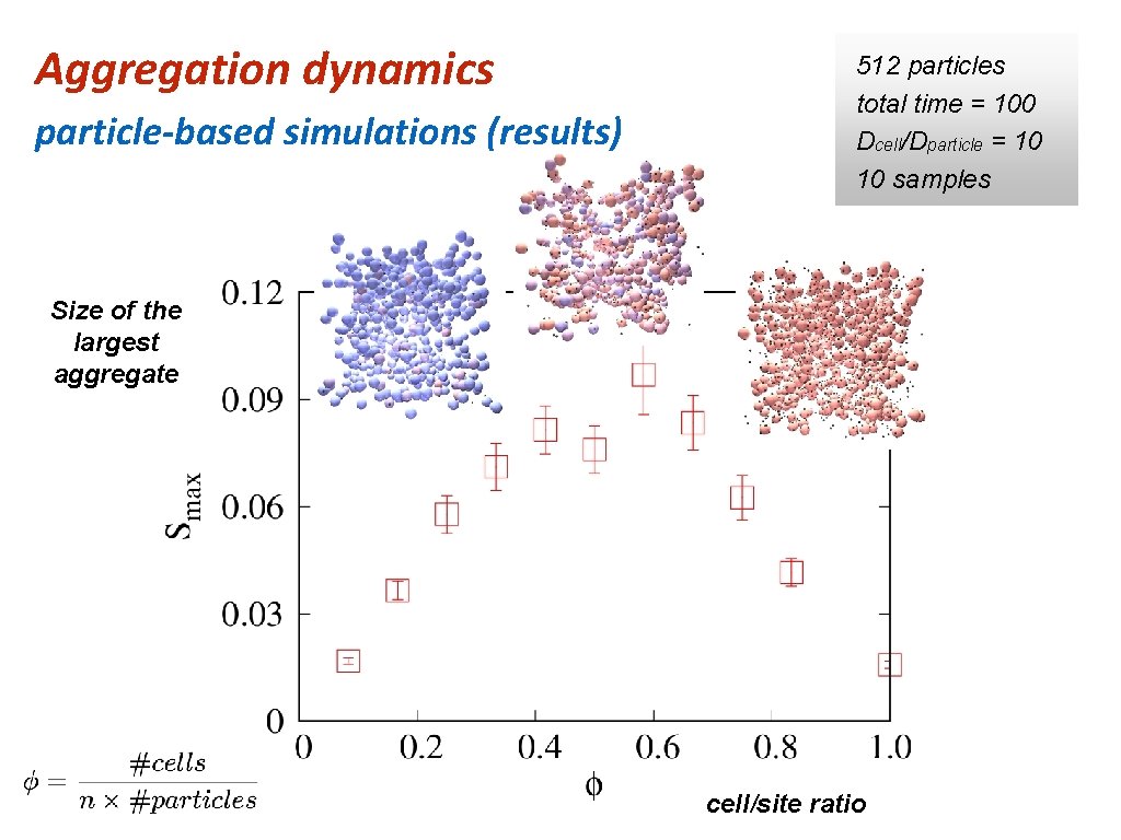 Aggregation dynamics particle-based simulations (results) 512 particles total time = 100 Dcell/Dparticle = 10