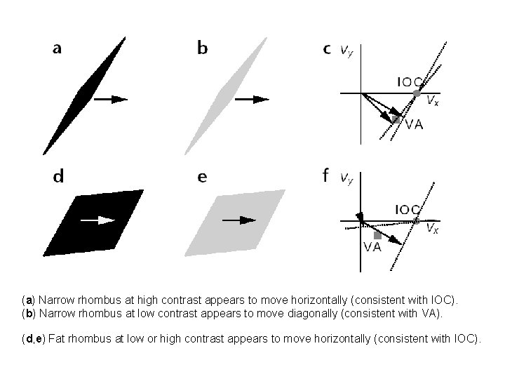 (a) Narrow rhombus at high contrast appears to move horizontally (consistent with IOC). (b)