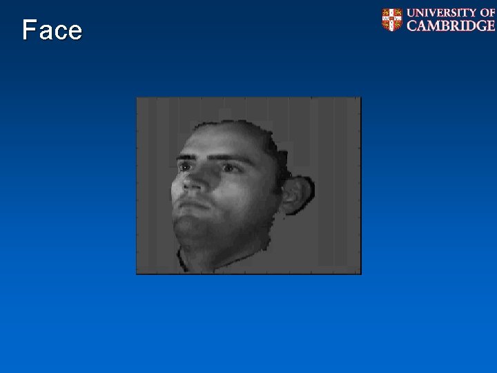 Face Face