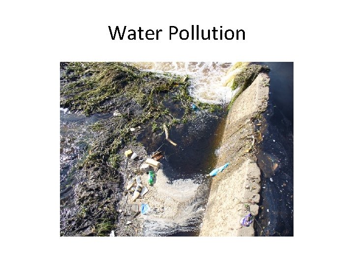 Water Pollution 