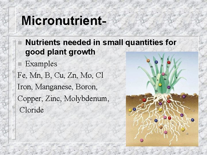 Micronutrient. Nutrients needed in small quantities for good plant growth n Examples Fe, Mn,