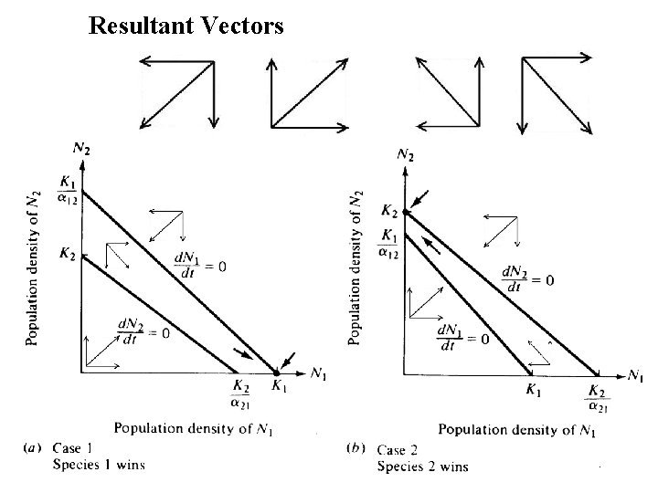 Resultant Vectors 