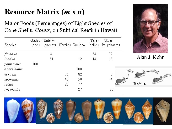 Resource Matrix (m x n) Major Foods (Percentages) of Eight Species of Cone Shells,