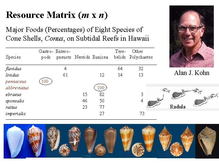 Resource Matrix (m x n) Major Foods (Percentages) of Eight Species of Cone Shells,