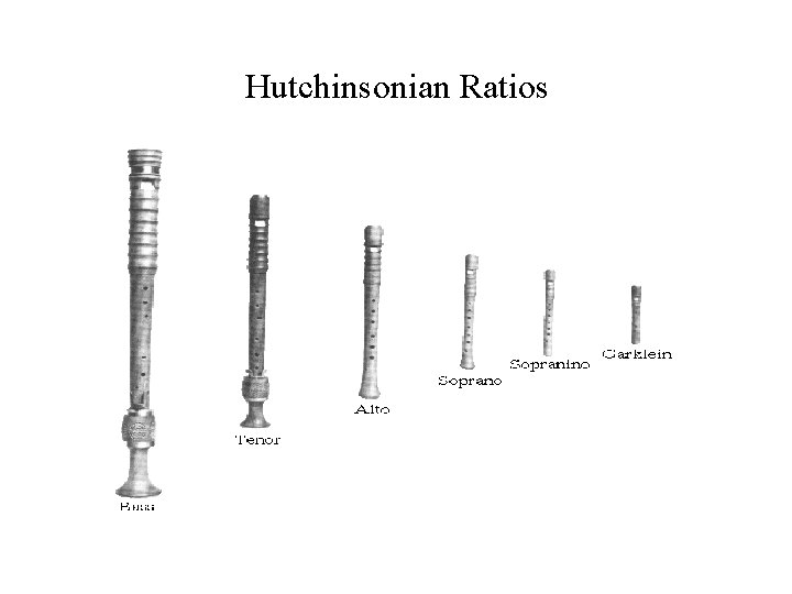 Hutchinsonian Ratios 
