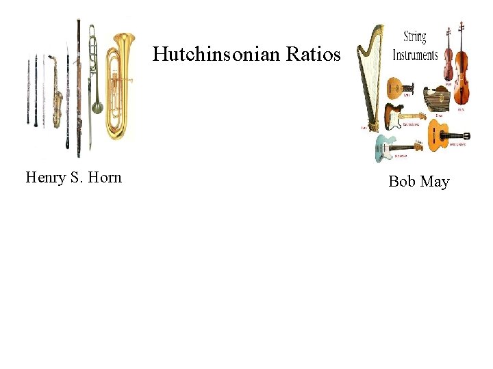 Hutchinsonian Ratios Henry S. Horn Bob May 