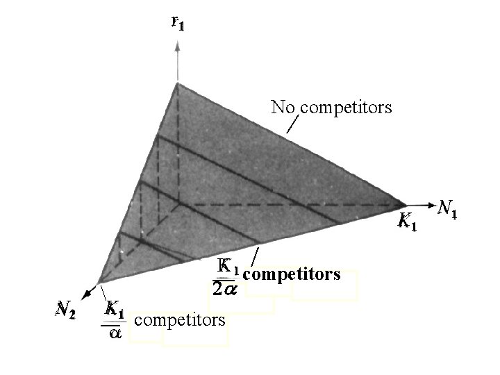 r 1 No competitors / K 1 / _K competitors 1 N 2 