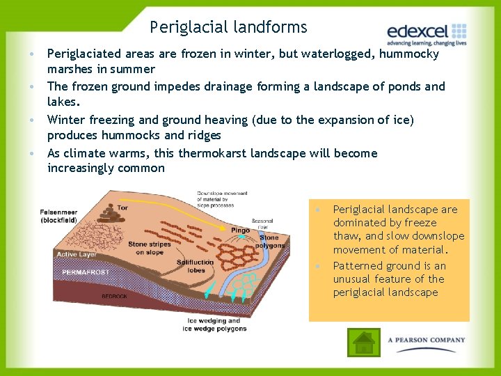 Periglacial landforms • Periglaciated areas are frozen in winter, but waterlogged, hummocky marshes in