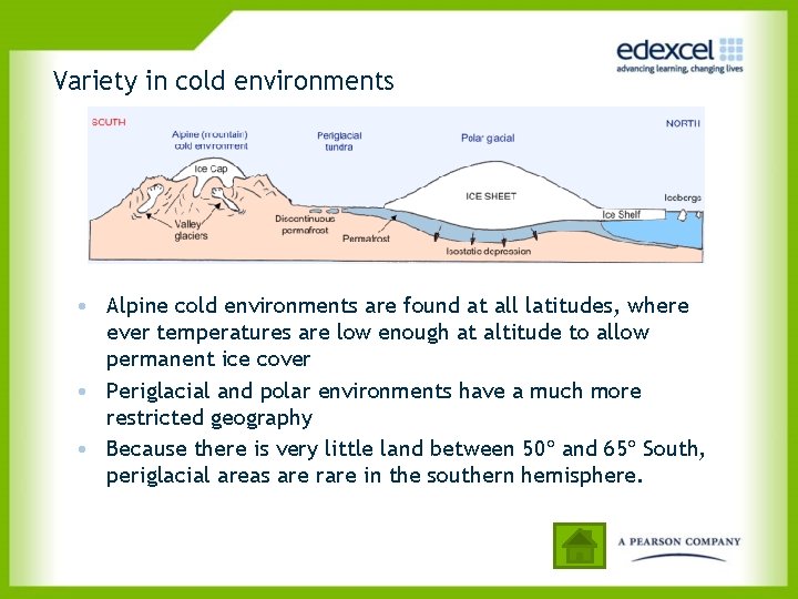 Variety in cold environments • Alpine cold environments are found at all latitudes, where
