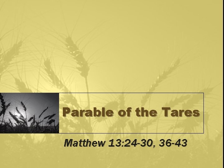 Parable of the Tares Matthew 13: 24 -30, 36 -43 