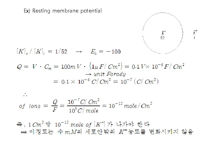 Ex) Resting membrane potential 