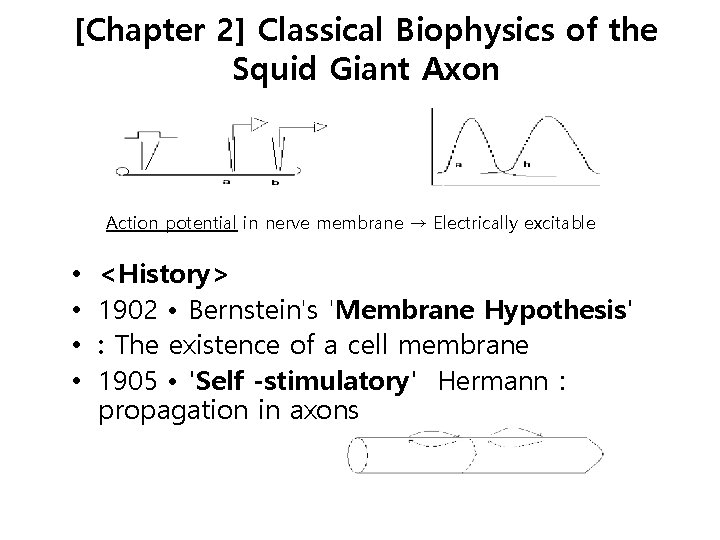 [Chapter 2] Classical Biophysics of the Squid Giant Axon Action potential in nerve membrane