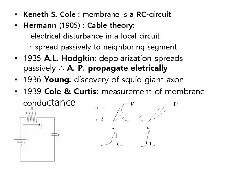  • Keneth S. Cole : membrane is a RC-circuit • Hermann (1905) :