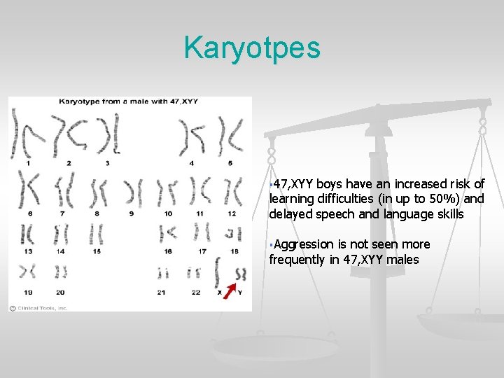 Karyotpes § 47, XYY boys have an increased risk of learning difficulties (in up