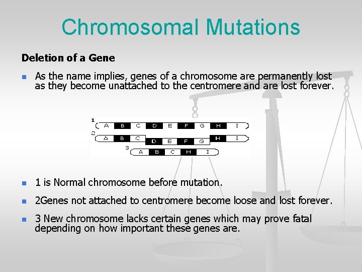 Chromosomal Mutations Deletion of a Gene n As the name implies, genes of a