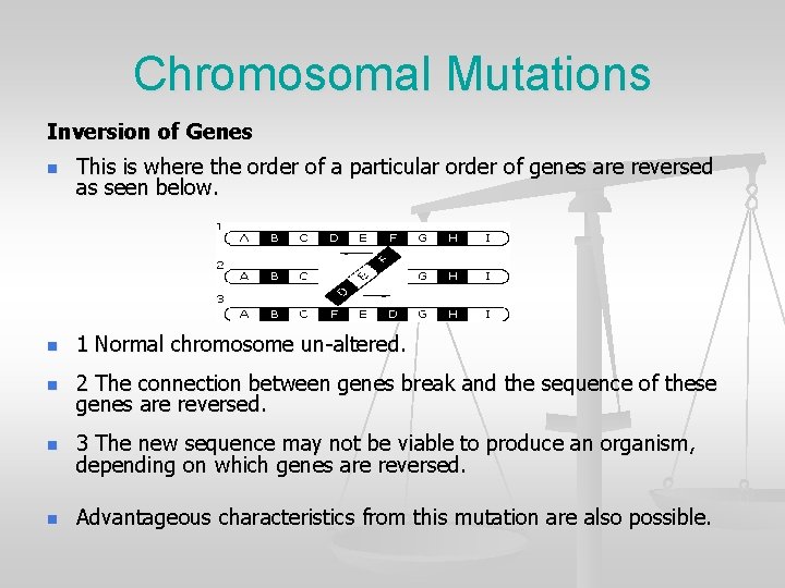 Chromosomal Mutations Inversion of Genes n This is where the order of a particular