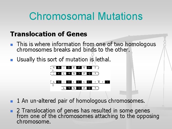 Chromosomal Mutations Translocation of Genes n This is where information from one of two