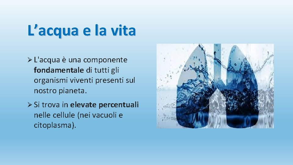 L’acqua e la vita Ø L'acqua è una componente fondamentale di tutti gli organismi