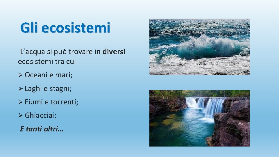 Gli ecosistemi L’acqua si può trovare in diversi ecosistemi tra cui: Ø Oceani e