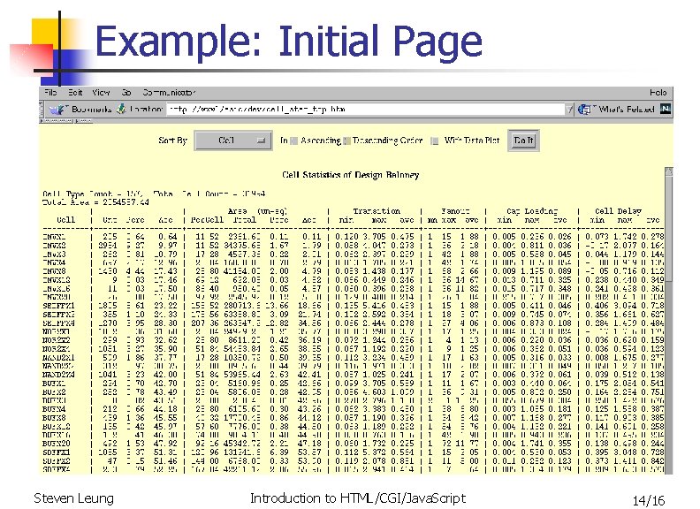 Example: Initial Page Steven Leung Introduction to HTML/CGI/Java. Script 14/16 