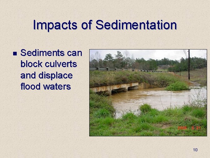 Impacts of Sedimentation n Sediments can block culverts and displace flood waters 10 