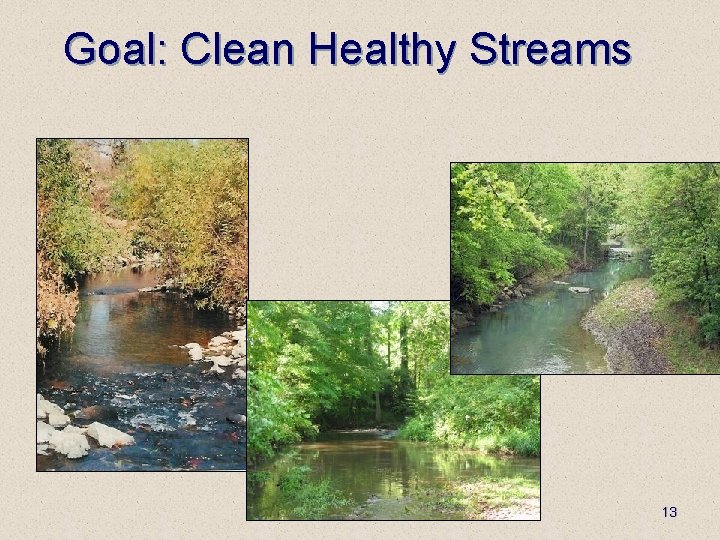 Goal: Clean Healthy Streams 13 
