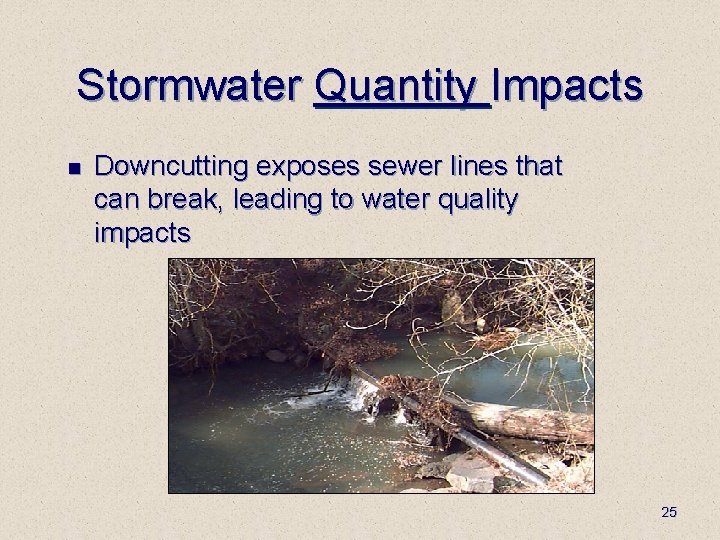 Stormwater Quantity Impacts n Downcutting exposes sewer lines that can break, leading to water