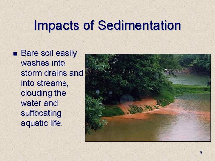 Impacts of Sedimentation n Bare soil easily washes into storm drains and into streams,