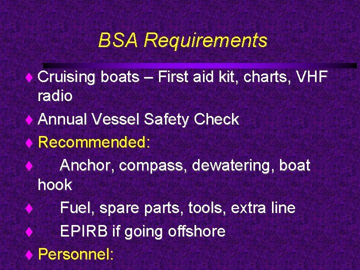 BSA Requirements Cruising boats – First aid kit, charts, VHF radio Annual Vessel Safety