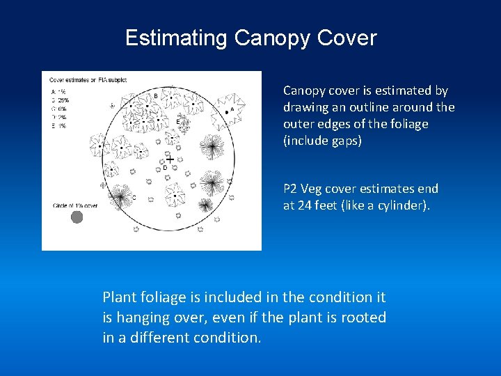 Estimating Canopy Cover Canopy cover is estimated by drawing an outline around the outer