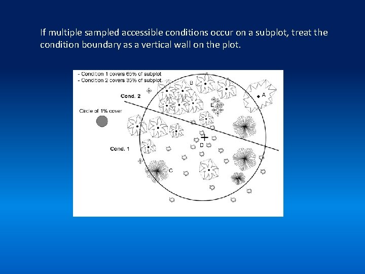 If multiple sampled accessible conditions occur on a subplot, treat the condition boundary as