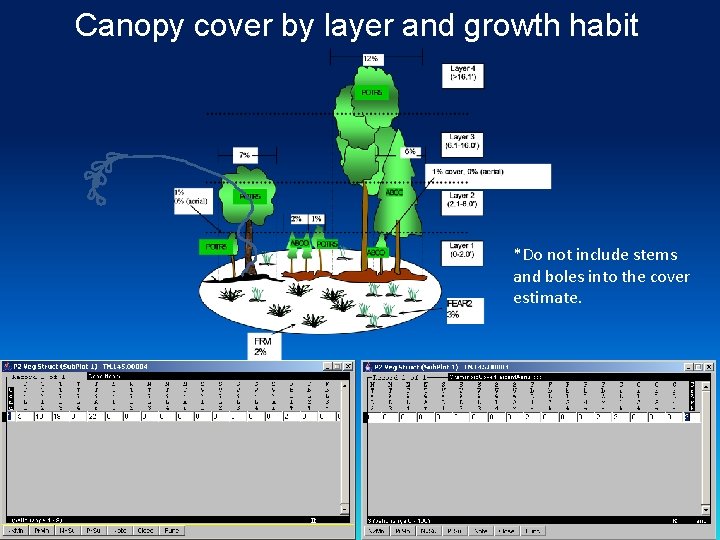 Canopy cover by layer and growth habit *Do not include stems and boles into