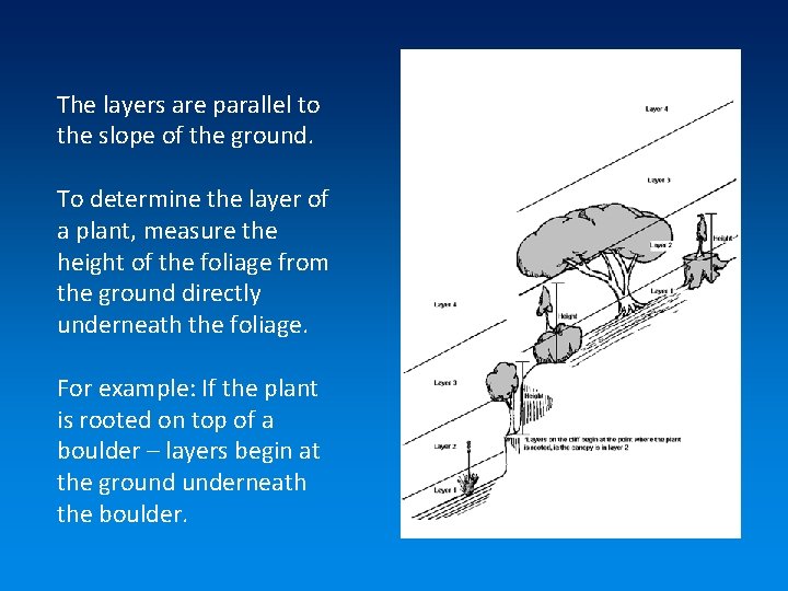 The layers are parallel to the slope of the ground. To determine the layer